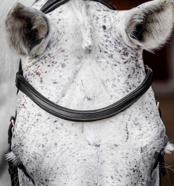 Horseware; MICKLEM Competition Bridle - schwarz